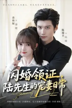 闪婚领证，陆先生的宠妻日常