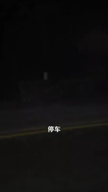 人到中年，二嫁首富大佬